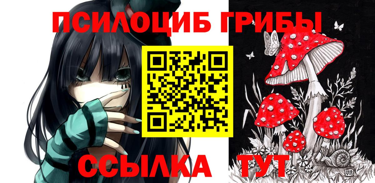 Галлюциногенные грибы Magic Shrooms Астрахань