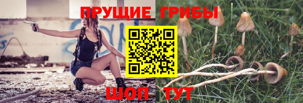Галлюциногенные грибы MAGIC MUSHROOMS  Вход с VPN  Астрахань  Псилоцибиновые грибы GOLDEN TEACHER 